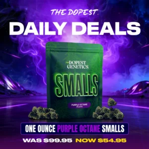 Smalls: Purple Octane Indica flower 28 grams Daily Deal