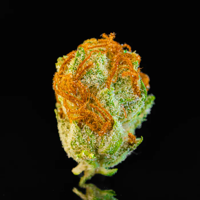 Smalls: Animal Crackers Indica flower 28 grams