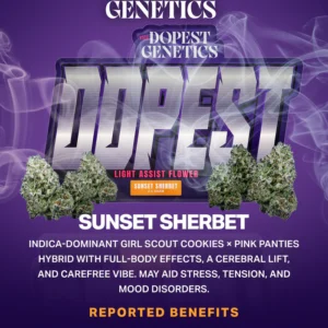 Premium Sunset Sherbet Indica Flower