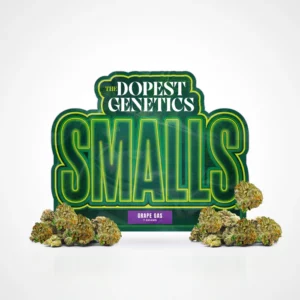 SMALLS Grape Gas Hybrid Flower
