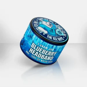 The Dopest Water Hash Blueberry Headband