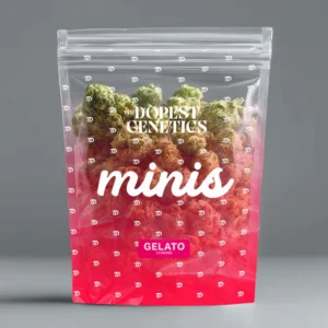 Half Ounce MINIS Gelato Hybrid Flower 14 grams