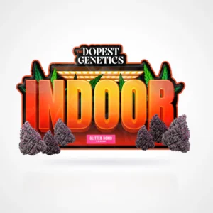 Indoor Glitter Bomb Hybrid Flower