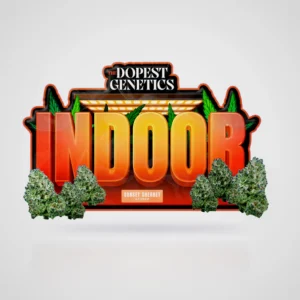 Indoor Sunset Sherbet Indica Flower 28 grams