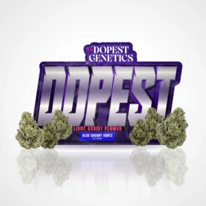 Premium Blue Cherry Runtz Indica Flower