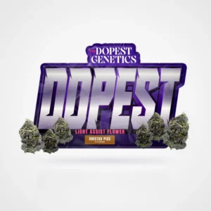 Premium Cheetah Piss Hybrid Flower