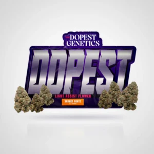 Premium Skunky Runtz Hybrid Flower