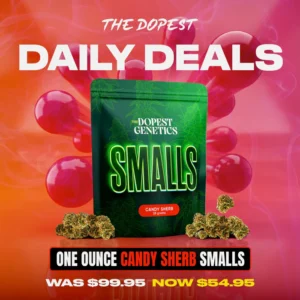 Smalls: CANDY SHERB indica flower 28 grams