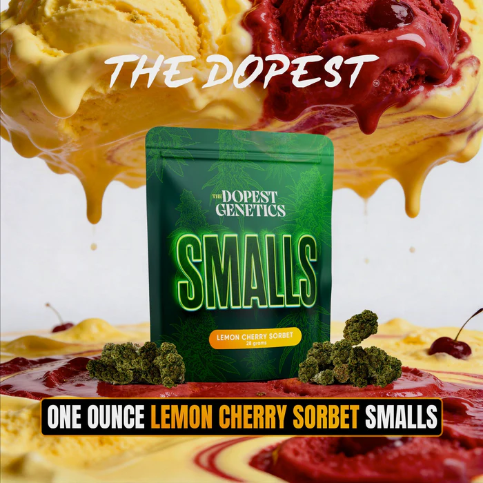 Smalls: LEMON CHERRY SORBET Indica flower 28 grams