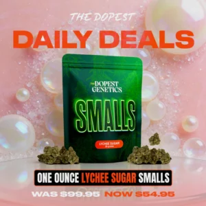 Smalls: LYCHEE SUGAR indica flower 28 grams