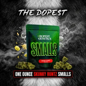 Smalls: Skunky Runtz Hybrid flower 28 grams