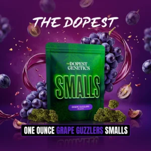 Smalls: Grape Guzzlers indica flower 28 grams