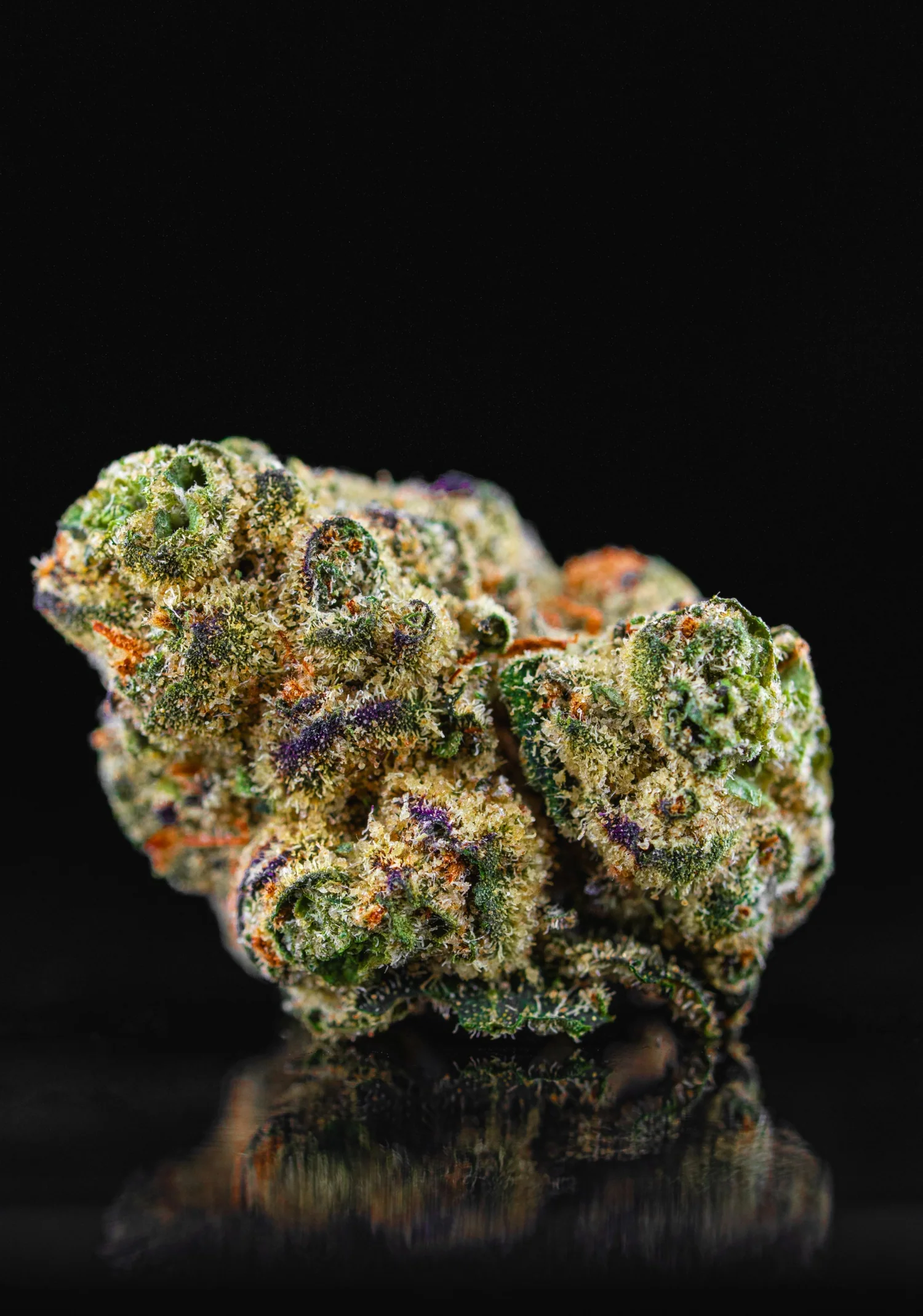 Juicy J X The Dopest Indoor Flower: Memphis Purple